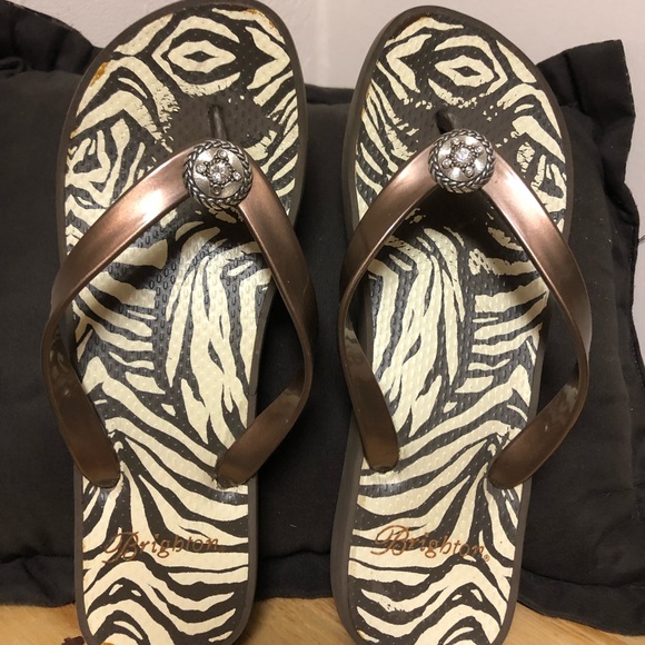 brighton flip flops 2019